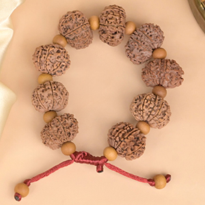 13 Mukhi Nepali Rudraksha x White Sandal Adjustable Bracelet