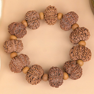13 Mukhi Nepali Rudraksha x White Sandal Bracelet