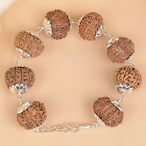 13 Mukhi Nepali Rudraksha 925 Silver Star Caps Bracelet