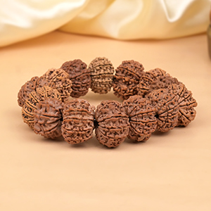 14 Mukhi Nepali Rudraksha Bracelet