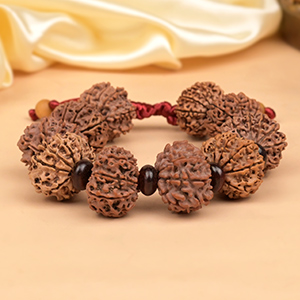 14 Mukhi Nepali Rudraksha x Red Sandal Adjustable Bracelet