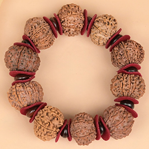 14 Mukhi Nepali Rudraksha x Red Sandal & Woolen Spacers Bracelet