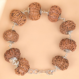 14 Mukhi Nepali Rudraksha 925 Silver Plain Caps Bracelet