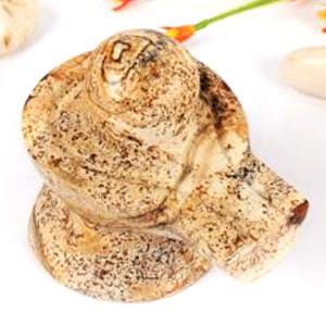 Picture Jasper Shivlinga 114 gms
