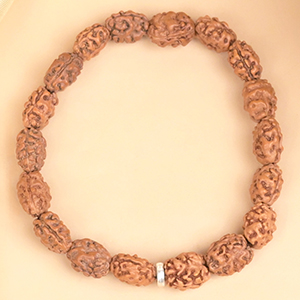 2 Mukhi Rudraksha Bracelet
