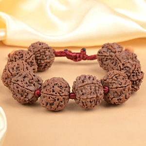 6 Mukhi Nepali Rudraksha Adjustable Bracelet