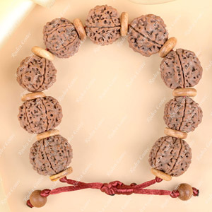 6 Mukhi Nepali Rudraksha Wooden Spacer Adjustable Bracelet