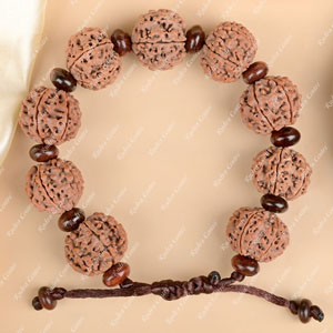 6 Mukhi Nepali Rudraksha x Red Sandal Adjustable Bracelet