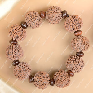 6 Mukhi Nepali Rudraksha x Red Sandalwood Bracelet