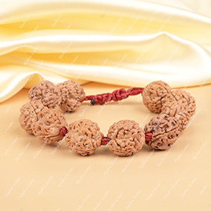 Buy 3 Mukhi Nepali Rudraksha Adjustable Bracelet from Rudra Centre (Rudraksha Ratna) at reasonable prices.