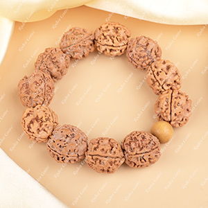 Buy 3 Mukhi Nepali Rudraksha Bracelet from Rudra Centre (Rudraksha Ratna) at reasonable prices.
