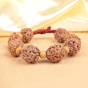 Buy 3 Mukhi Nepali Rudraksha x White Sandal Adjustable Bracelet from Rudra Centre (Rudraksha Ratna) at reasonable prices.