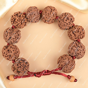 4 Mukhi Nepali Rudraksha Adjustable Bracelet