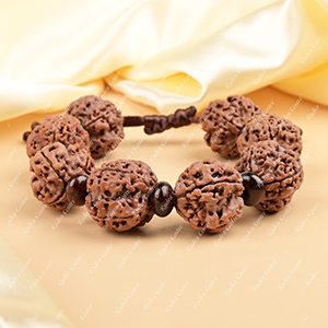 4 Mukhi Nepali Rudraksha x Red Sandal Adjustable Bracelet