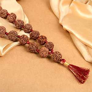 6 Mukhi Nepal Rudraksha Kantha Mala