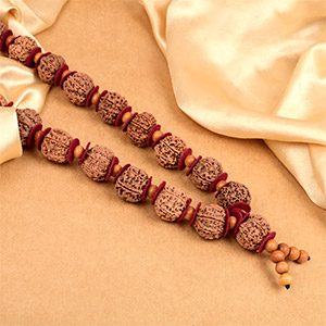 6 Mukhi Nepal Rudraksha x Sandalwood & Woolen Spacers Mala