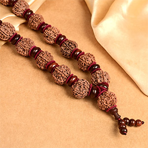 6 Mukhi Nepal Rudraksha x Red Sandalwood & Woolen Spacers Mala