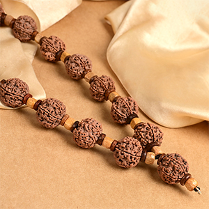 6 Mukhi Nepal Rudraksha Wooden Spacers Mala