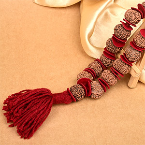 10 Mukhi Nepali Rudraksha Woolen Spacer Kantha Mala