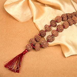 11 Mukhi Nepali Rudraksha Kantha Mala