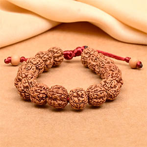 Premium 5 Mukhi Rudraksha Adjustable Bracelet