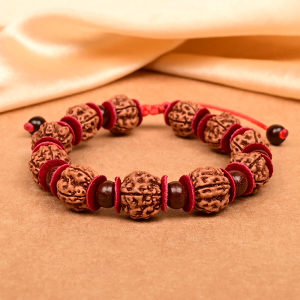 Red Sandalwood x Premium 5 Mukhi Rudraksha Woolen Spacer Bracelet