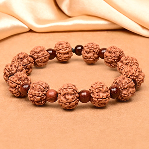 Premium 5 Mukhi Rudraksha x Red Sandalwood Bracelet
