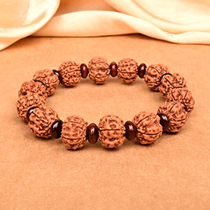 Premium 5 Mukhi Rudraksha x Elliptical Red Sandalwood Bracelet