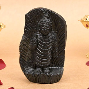 Lord Buddha Shaligram Murti