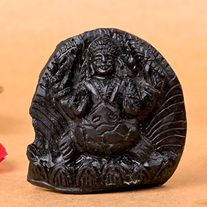 Kurma Shaligram Murti