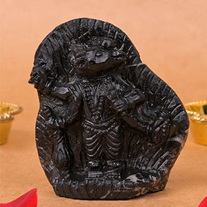 Varaha Shaligram Murti
