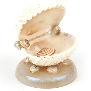 Vishnu Laxmi Shell