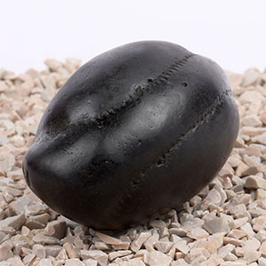 Vigneshwara Maha Ganapati Shaligram Shila