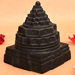 Shaligram Meru Shri Yantra - 390 gms