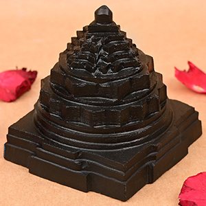 Shaligram Meru Shree Yantra - 560 gms