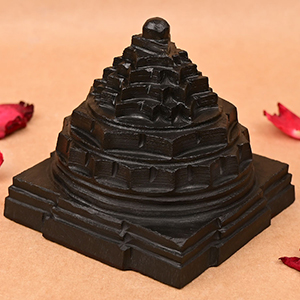 Shaligram Meru Shree Yantra - 700 gms