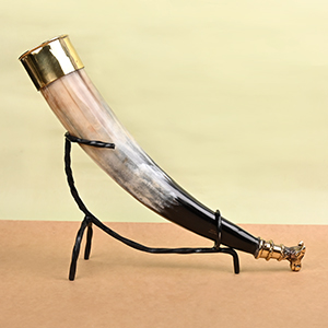 Bull Horn Gaumukhi Shringi for Abhishekam  - 262 gms