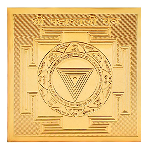 YP07