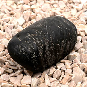 Laxmi Paduka Shaligram Shila