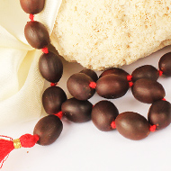 Lotus sumarni mala
