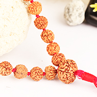 Rare 7 mukhi Mahalaxmi mala - 9mm
