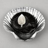 Laxmi Narayana Shaligram