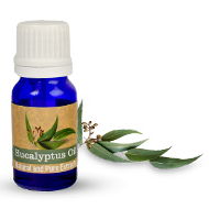 Eucalyptus Oil