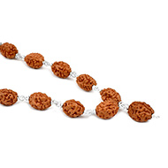 3 mukhi Mahajwala mala in silver with knots