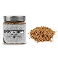 Fresh Paddy Rice for Puja