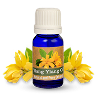 Ylang Ylang Oil