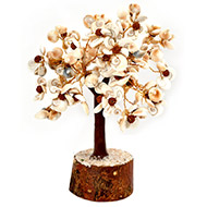 Natural Gomati Chakra with Rudraksha - Chakra Vastu Tree