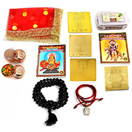 Kaal Sarp Dosh Nivaran Yantra kit
