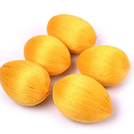 Coconut (Nariyal)