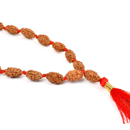 2 mukhi moon mala - 14 mm